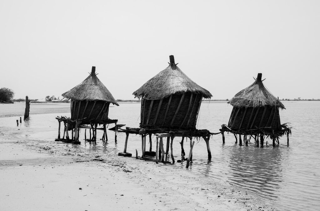 sine saloum