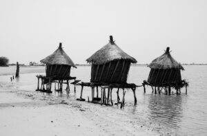 sine saloum