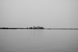 sine saloum II